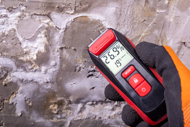 Best Attic Mold Removal  in , TX