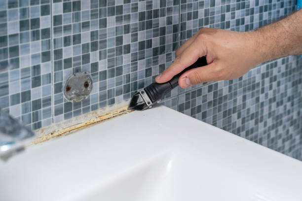 Best Mold Cleaning Services  in , TX